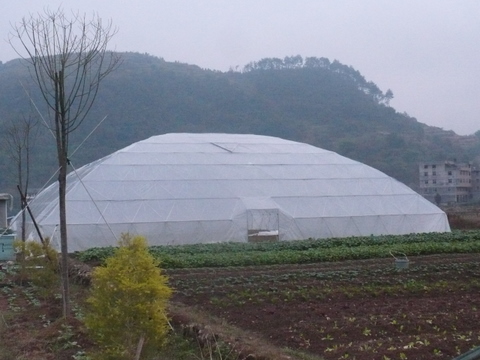 丽水市农业智能化快繁中心 气雾栽培与植物克隆技术引领现代农业变革